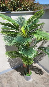 Henri S. review photo