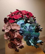 Constance Z. review photo