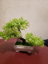 Marguerite X. review photo
