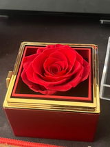 Laurent O. review photo