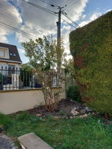 Yves METRAL review photo