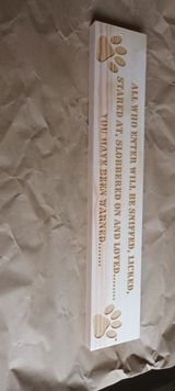 Viv T review photo