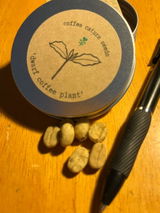 Cassandre review photo