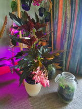 Leeanne M. review photo