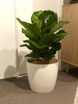 Yury N. review photo