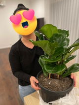 Shantell review photo