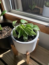 Brooklyn G. review photo