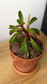 Yury N. review photo