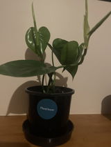 Larissa v.H. review photo