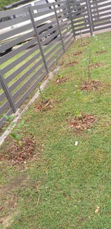 Kerrie M. review photo