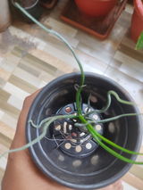 ABHISHEK KUMAR review photo