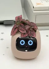 Mason Rhodes review photo