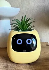 Emily Rhodes review photo