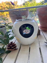 Kelsey review photo