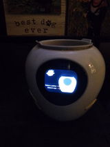 Brayden B review photo