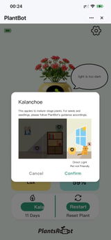 NyanTheCat review photo