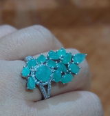 Diana Cecilia Bravo Ortiz review photo