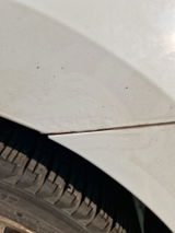 Rasa V. review photo