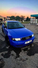 SANITA V. review photo