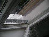 T. Plazak review photo