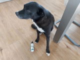 Mateja V. review photo