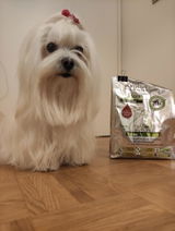 Darija M.S. review photo