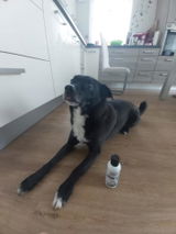 Mateja V. review photo