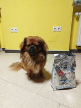 Slavica S. review photo