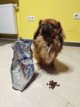 Slavica S. review photo