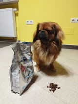 Slavica S. review photo