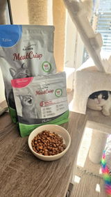 Mateja V. review photo