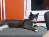 Marjana R. review photo