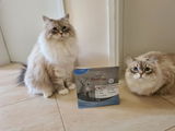Alenka F. review photo