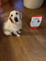 Sonja review photo