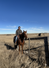 Buddy boy in Saskatchewan review photo