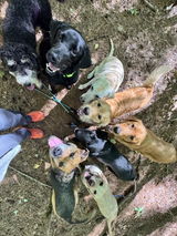 cynthia burkins review photo