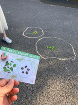 Danni Sampson review photo