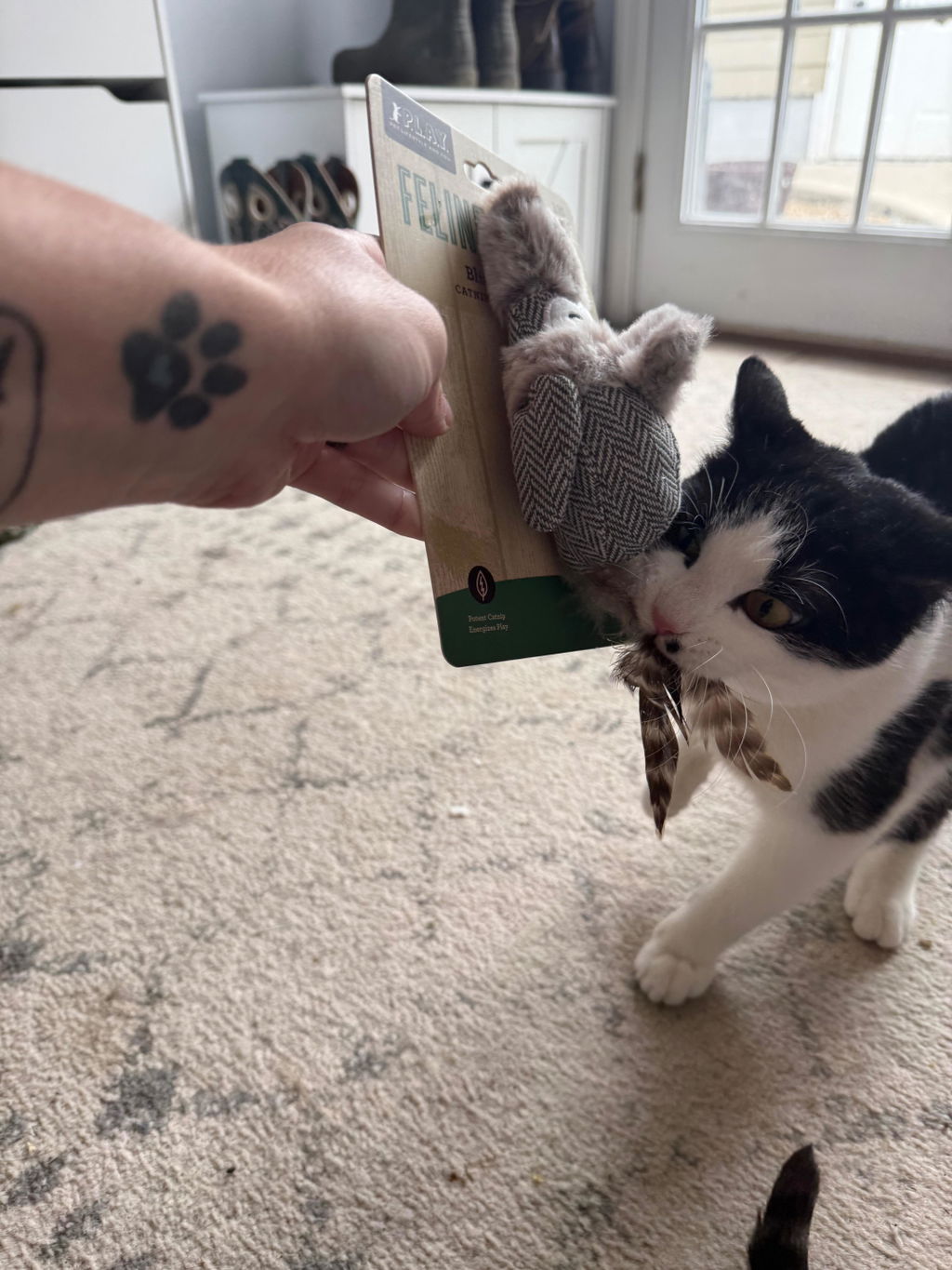 Kitten Mittens: Holiday Cat Toy by Play Pet Brands