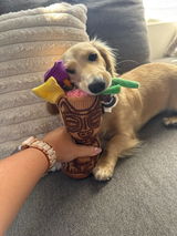 Poppy’s Mom review photo
