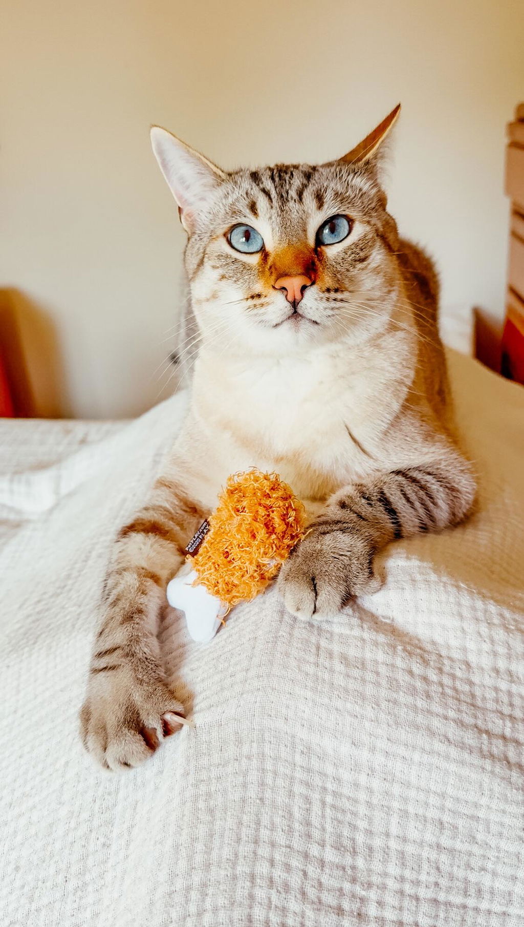 Sassy Sushi: Crinkle Plush Cat Toy Trio by Play Pet Brands