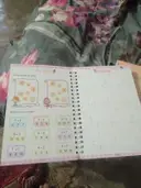playalaab User review photo