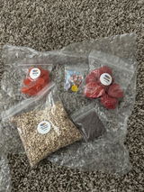 Shareese D. review photo