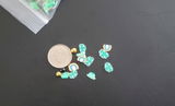 Carey S. review photo