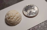 Etsy c. review photo