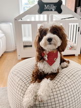 Milly review photo