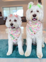 Zoey & Coco review photo