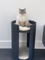 Jennifer Ioannou review photo