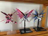 Sam Xu review photo