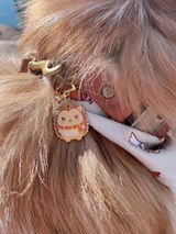 FreddyTheFluffyCorgi review photo