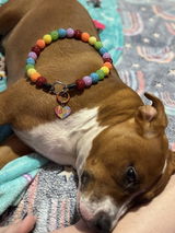 Lovely Hutson review photo